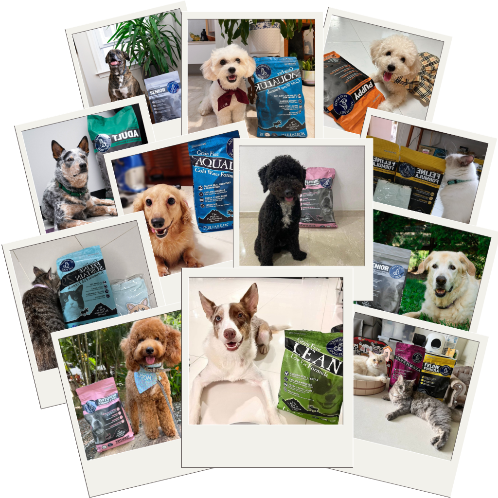 Annamaet Petfoods Buy Healthiest and Grain Free Petfoods in Singapore